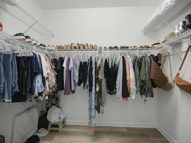 spacious closet featuring wood-type flooring