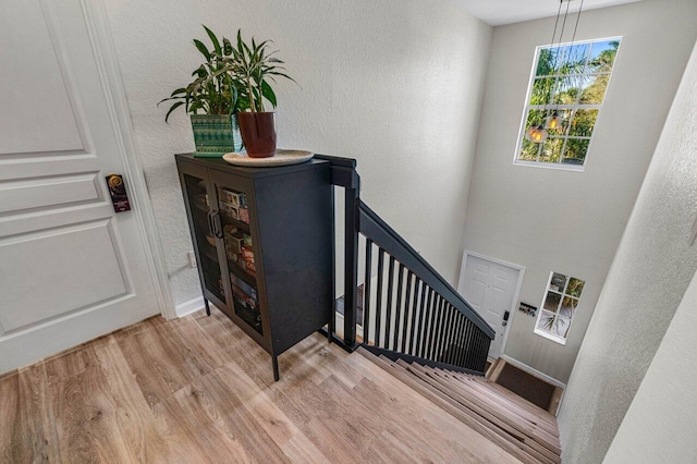 staircase with hardwood / wood-style flooring