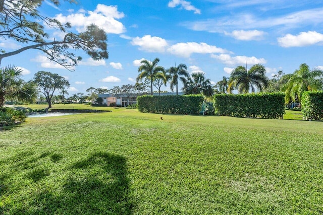 view of yard featuring a water view