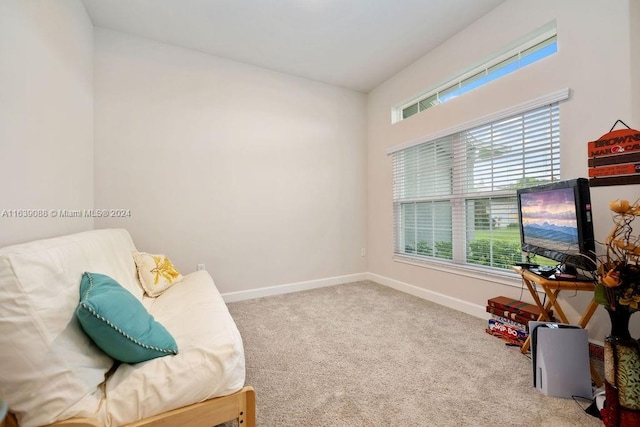 sitting room with carpet