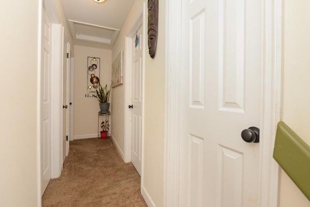 hallway featuring light carpet