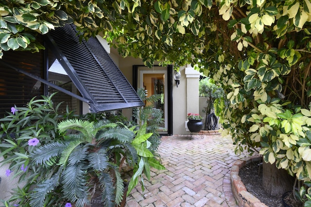 property entrance featuring a patio area and stucco siding