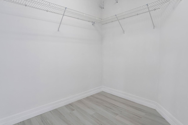 spacious closet featuring light hardwood / wood-style flooring