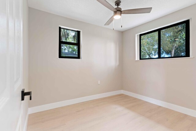 empty room with a wealth of natural light, light hardwood / wood-style floors, and ceiling fan