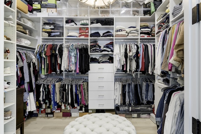 walk in closet with wood finished floors