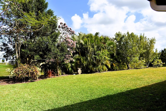 2749 SW Backton Ave, Port Saint Lucie, FL 34987 - view of grassy yard