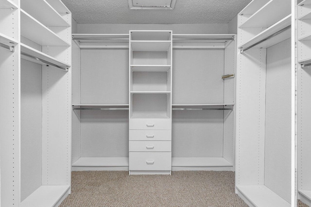 spacious closet with light colored carpet