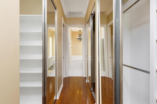 corridor featuring dark wood-type flooring