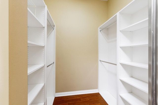 spacious closet with wood-type flooring