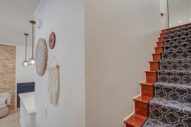 stairway featuring wood-type flooring