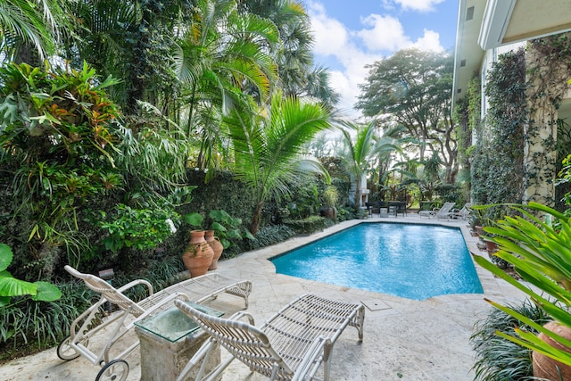 view of swimming pool featuring a patio