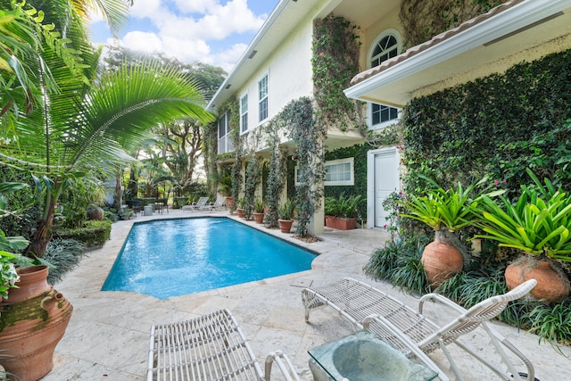 view of pool with a patio