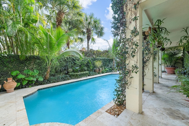 view of swimming pool featuring a patio