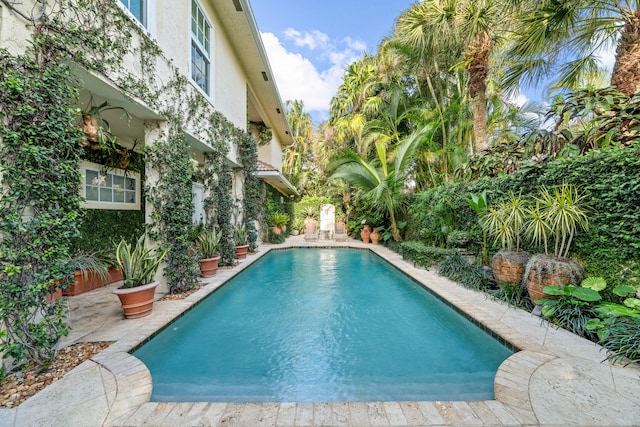 view of pool with a patio