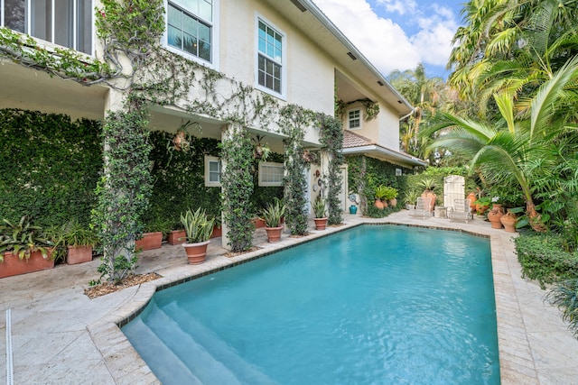 view of pool with a patio