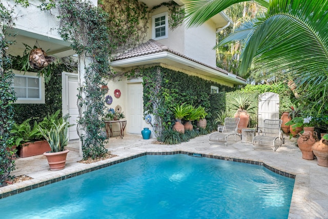 view of swimming pool featuring a patio