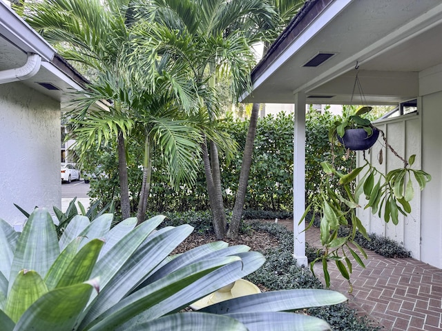 11373 Twelve Oaks Way E, North Palm Beach, FL 33408 - view of yard