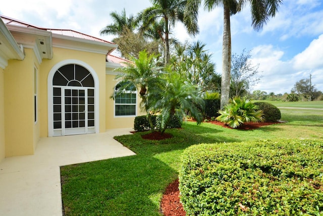 view of yard featuring a patio area