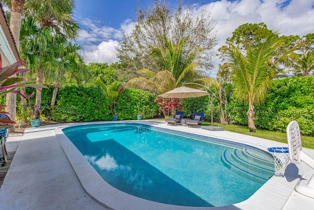 view of swimming pool with a patio area