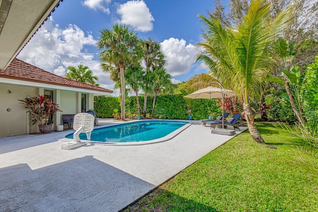 view of swimming pool with a lawn and a patio area