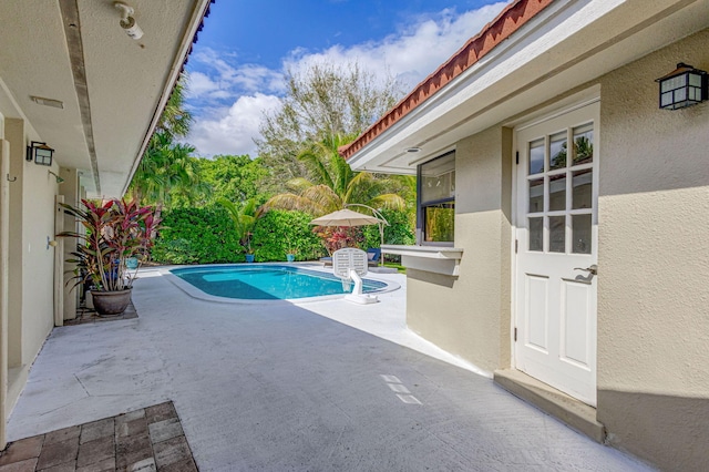 view of swimming pool featuring a patio