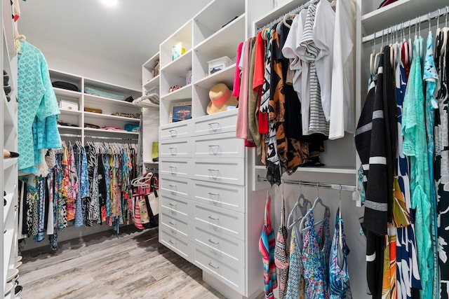 2666 SE Erickson Dr, Port Saint Lucie, FL 34984 - walk in closet featuring light wood-type flooring