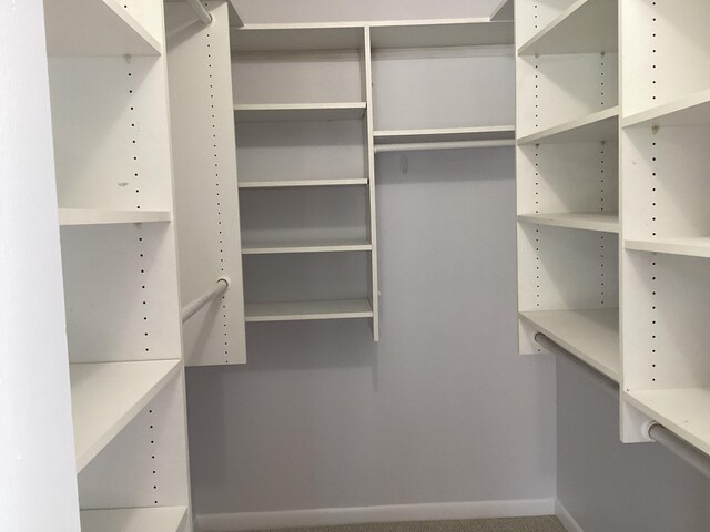 view of walk in closet