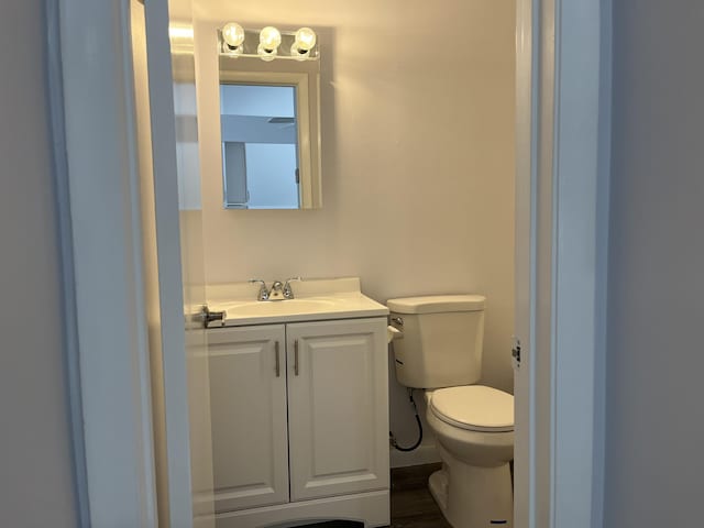 bathroom featuring vanity and toilet