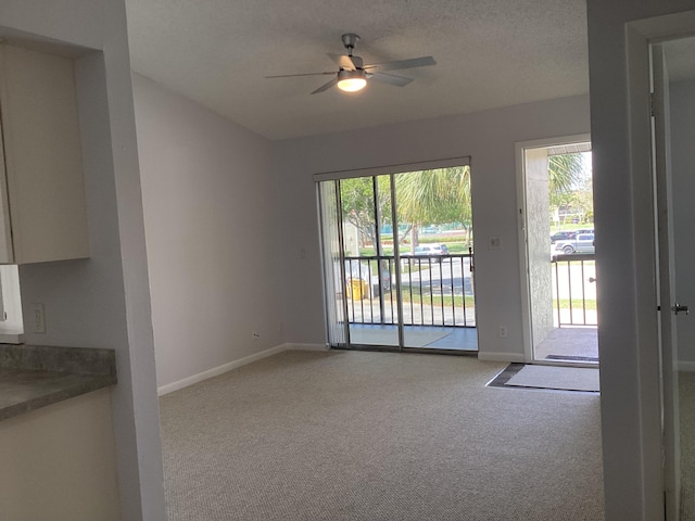 interior space with light carpet, plenty of natural light, and baseboards