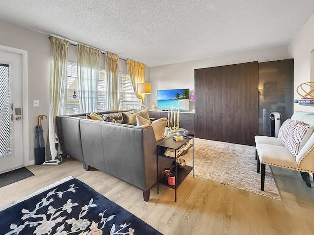 living room with a textured ceiling and wood finished floors