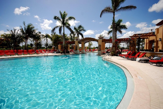 view of pool with a patio