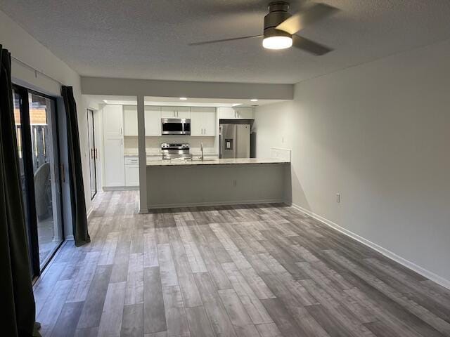 kitchen with light countertops, wood finished floors, appliances with stainless steel finishes, and a ceiling fan