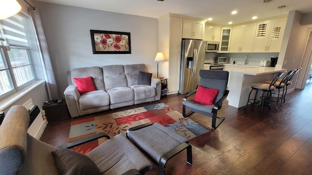 living room featuring dark hardwood / wood-style flooring and sink