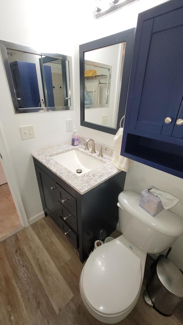 bathroom featuring vanity, toilet, and wood-type flooring