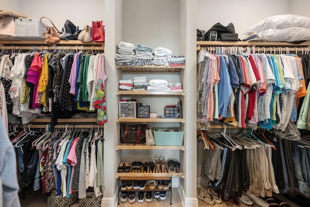 walk in closet featuring wood finished floors