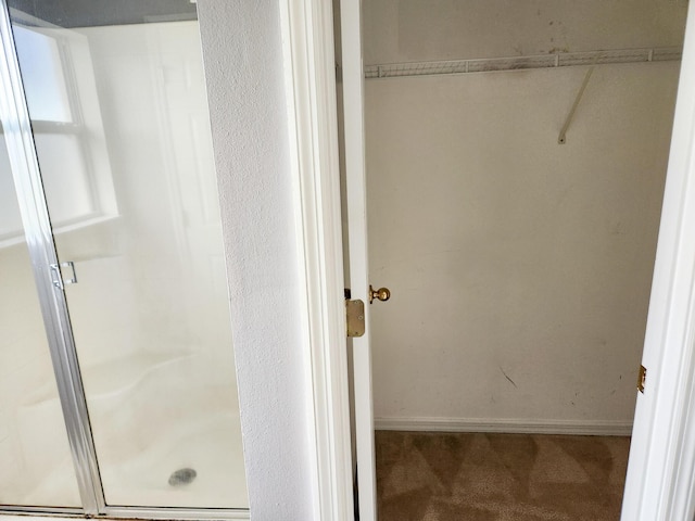 full bathroom featuring baseboards and a shower stall
