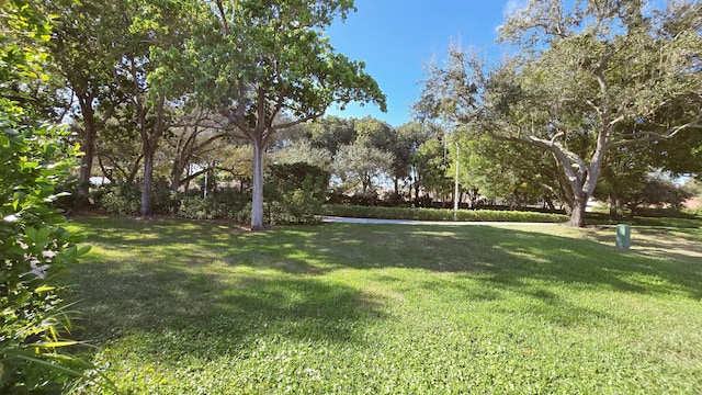 view of yard