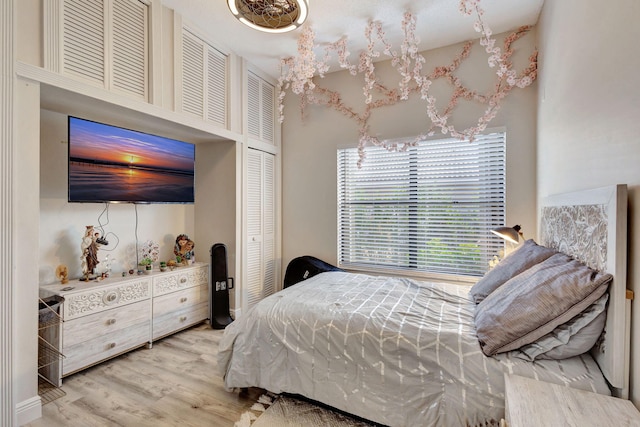 bedroom featuring a closet and light hardwood / wood-style flooring