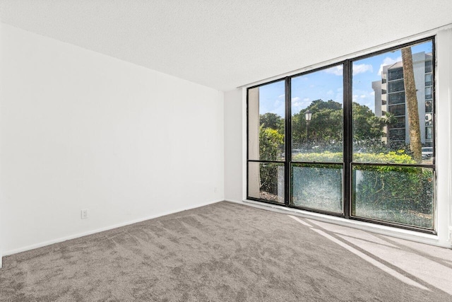 empty room featuring floor to ceiling windows, carpet flooring, and a textured ceiling