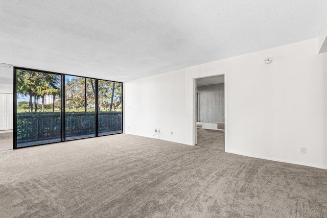 unfurnished room with expansive windows, carpet flooring, and a textured ceiling