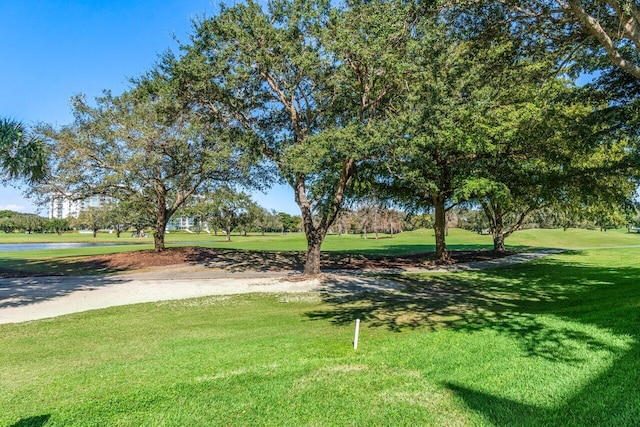 view of home's community with a lawn