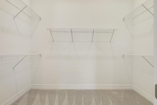 spacious closet featuring carpet flooring