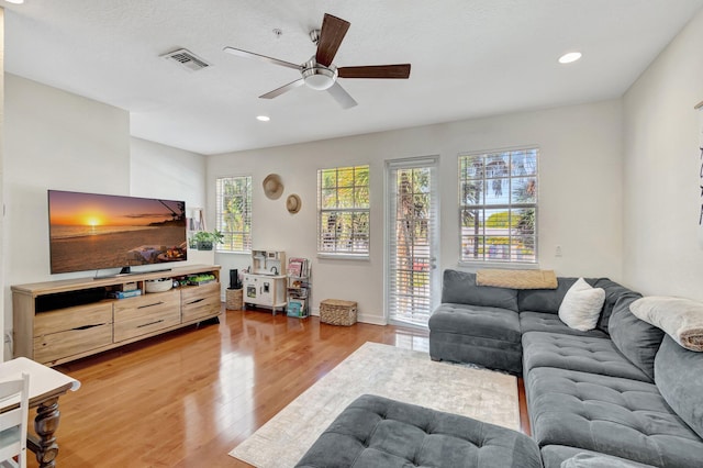 living room with ceiling fan and light hardwood / wood-style flooring