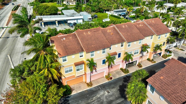 drone / aerial view
