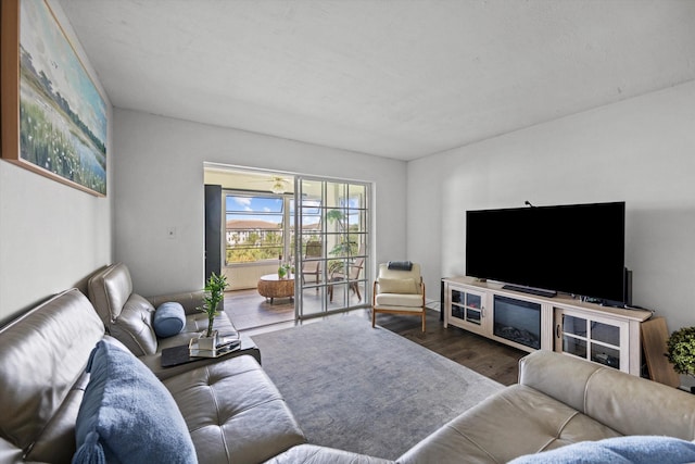 living room with hardwood / wood-style floors