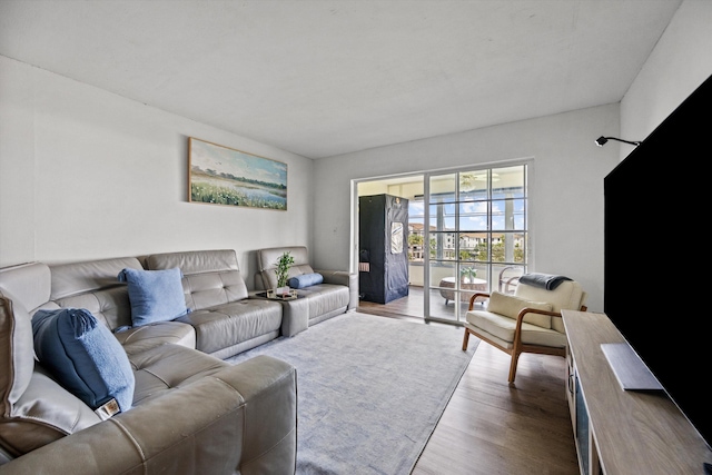 living room with wood-type flooring