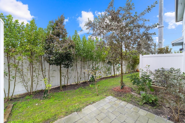 view of yard featuring a patio area and a fenced backyard