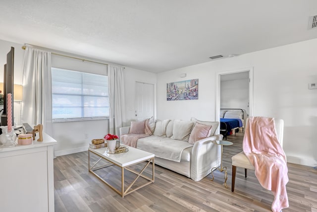 living room with light hardwood / wood-style flooring