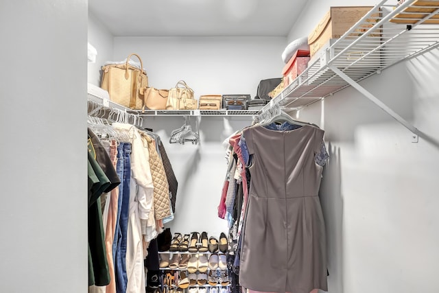 view of spacious closet