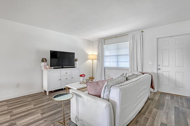 living room with light hardwood / wood-style flooring